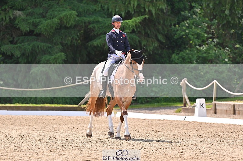 250523A-122241-06837 - C-282-Harry.Meade-NASHVILLE