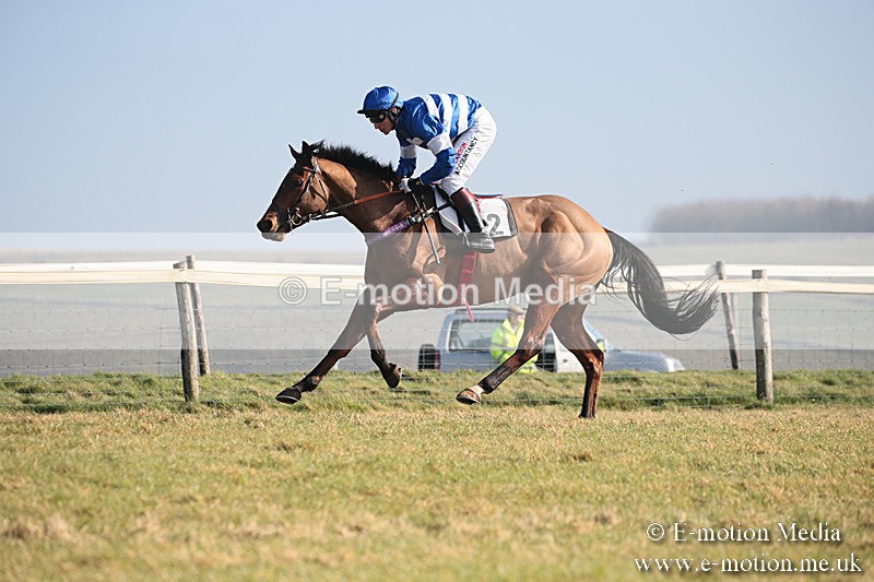 PtP 230219 118 - Vine & Craven Point-To-Point - Barbury 23/02/19