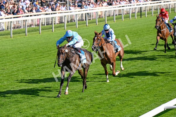 110725-Race 7-Secret Beach-0585 - Race 7 5.40pm William Hill Bet In Running Apprentice Handicap