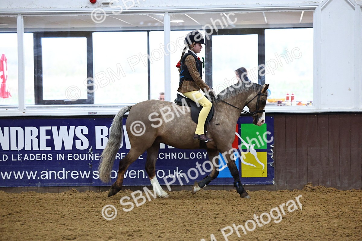 SBM_003222 - Class 35 - 60cm Training Stakes