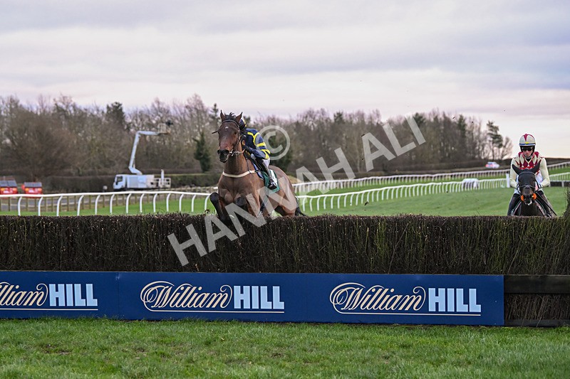 010125-Race 4-Ensel Du Perche-6219 - Race 4