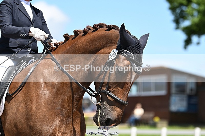 240621A-134528-04145 - Cls 8 BD Elementary 53