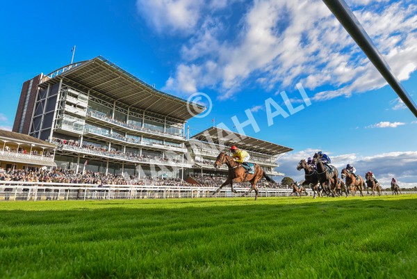 111024-Race 5-Vince LAmour-8081 - Race 5 3.45pm Copper Knight - Winning Most Horse At York Handicap