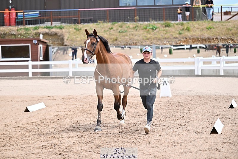 250716-130546-00325 - Trot Up 12.30 to 1.30