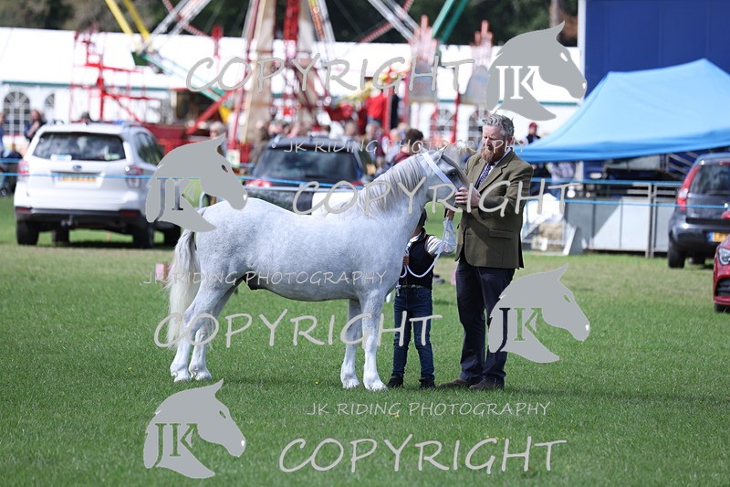 APP_2792 - Class 10a/b M&M in hand