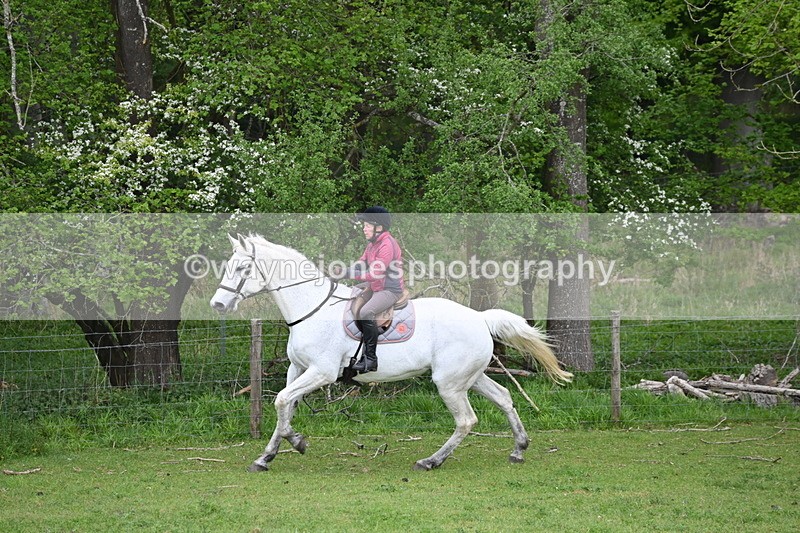 WJ6_3161 - A camera