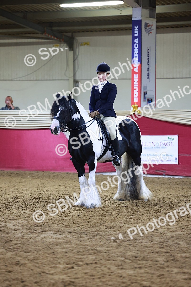 SBM_14965 - Class M - Equitation Champ