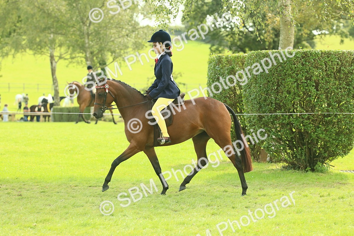 SBM_68088 - S57 - Part Bred Pony Ridden
