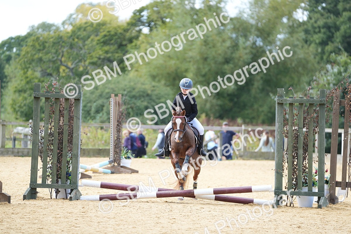 SBM_64381 - J2 - Mini Tour Junior Pony 30cm Championship
