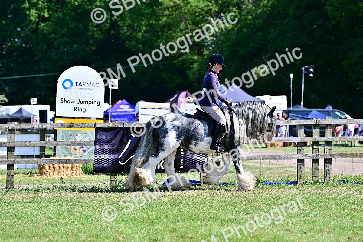 SBM_19418 - Class 101-102 - BSPS LIHS Performance Coloured Horse/Pony