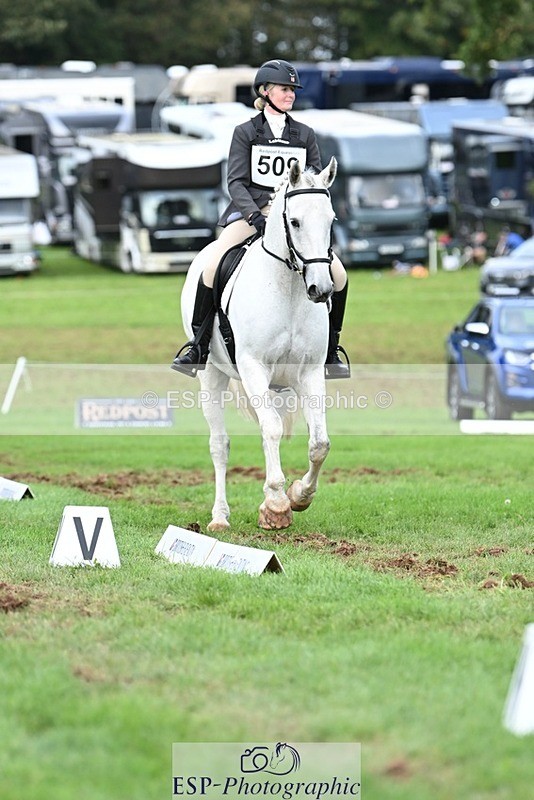 231020-155337-11303 - 509-WOODLANDS.SILVER.CLOUD-Karen.Cowling-DR