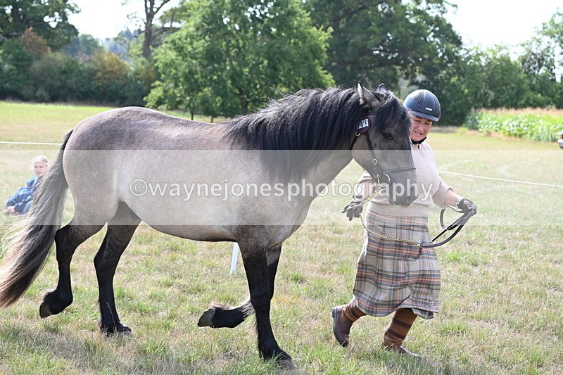 WJ6_4130 - Class 15 Youngstock