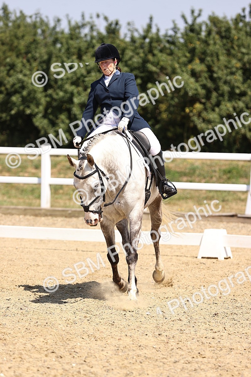 SBM_003950 - Intro 2