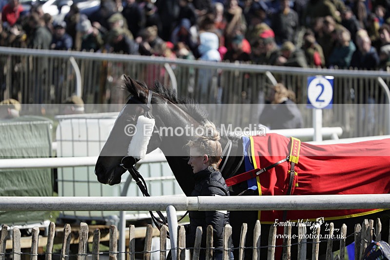PtP 100423 561 - Old Berkshire Point-to-Point Lockinge 10/04/23