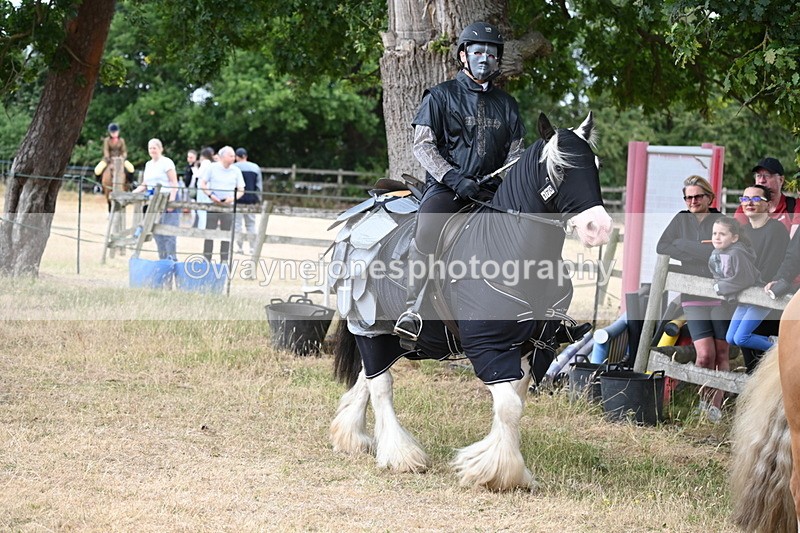 WJ6_8914 - Class 11 Fancy Dress