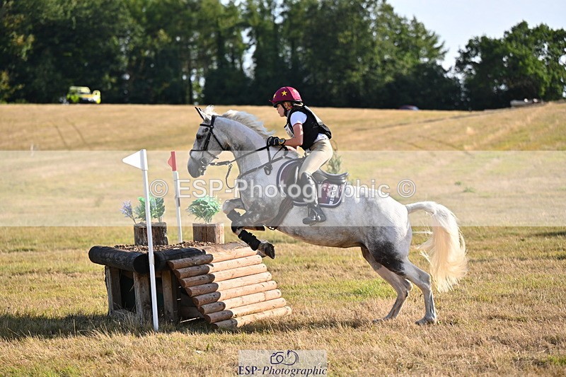 250803A-181105-18252 - R-824-Poppy.Wilkinson-DAISY.DER.BLUME