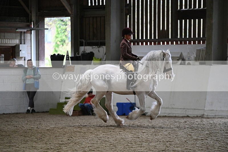 WJ7_3685 - Class 16 Ridden Coloured/ Odd Coloured