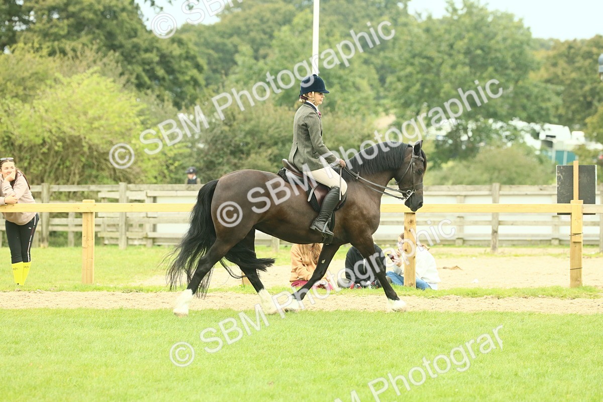SBM_72150 - S60 - Mountain & Moorland Ridden Large Breeds