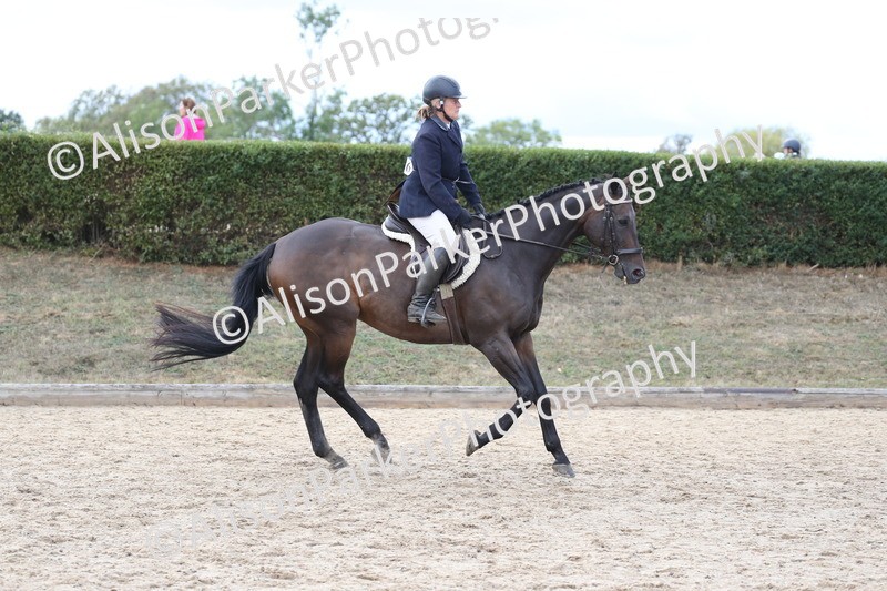 20260831-2606 - Class 15 - Ridden Retraining of Racehorses