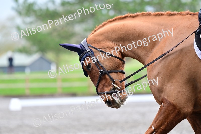 20260125-3762 - Class 12 - Novice