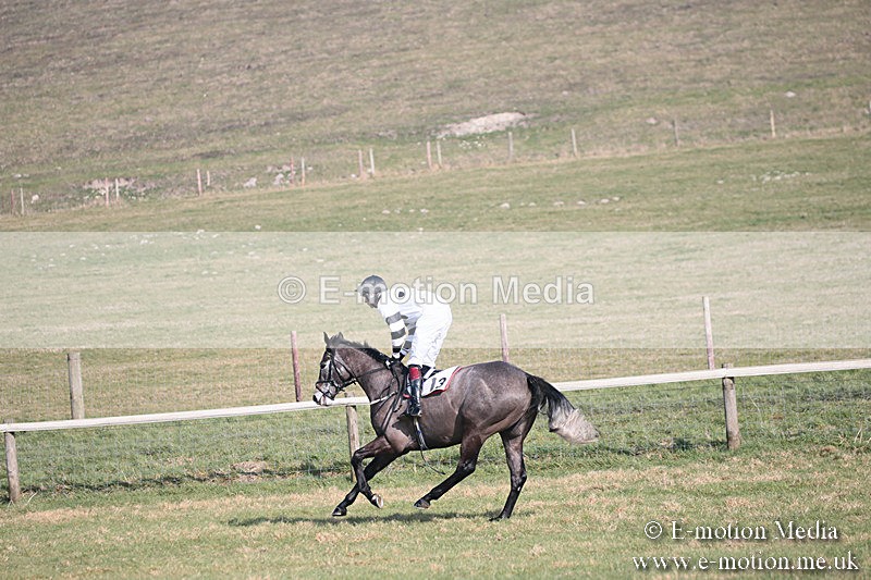 PtP 230219 190 - Vine & Craven Point-To-Point - Barbury 23/02/19