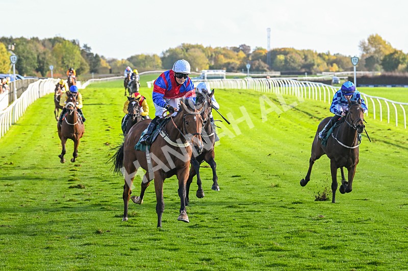 191024-Race 4-Three Dons-4307 - Race 4