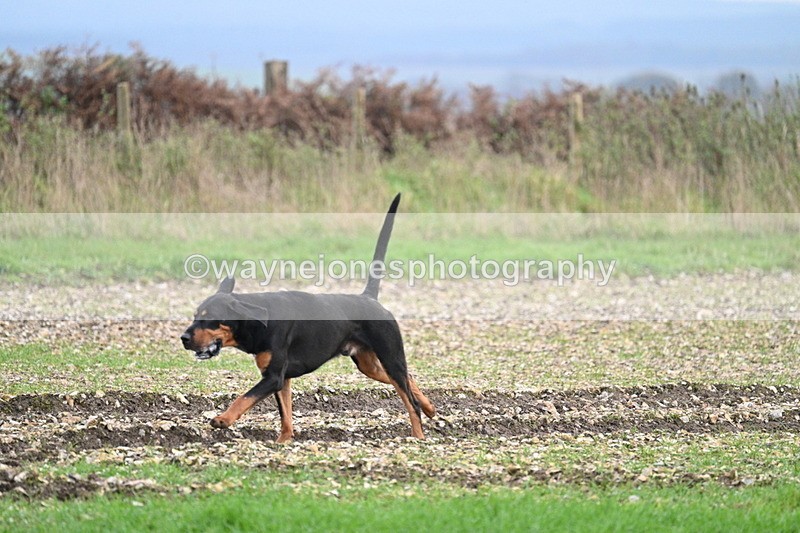 WJ7_0170 - Camera 1 & Last fence