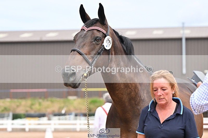 250716-153806-02068 - Trot Up 3.30 to 4.30