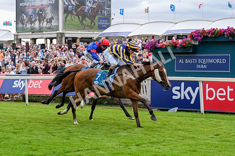 250726-Race 4-Dwindling Funds-0955 - Race 4 15.05pm Sky Bet For The Fans Handicap