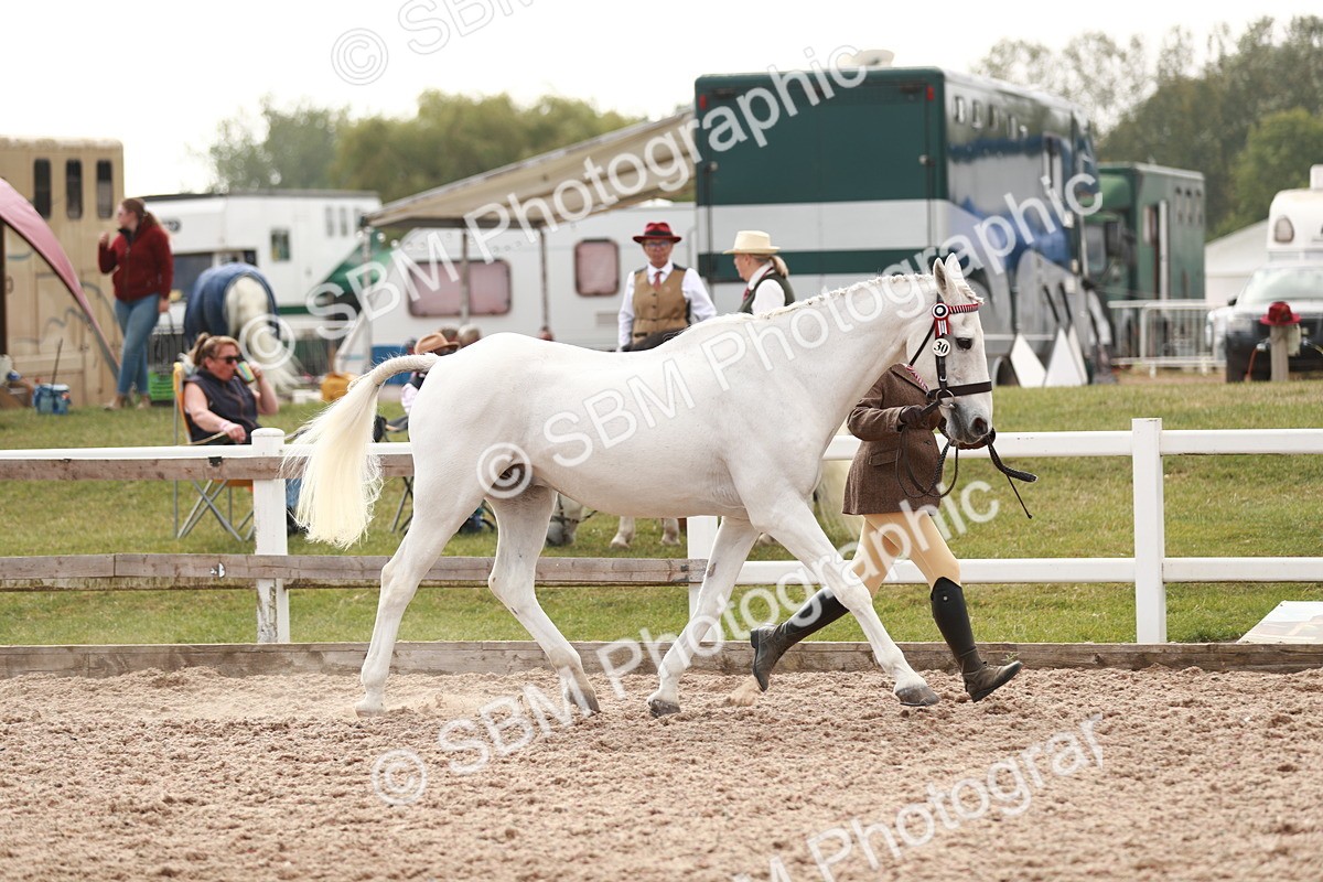 SBM_13199 - Class 208 IH Veteran Horse