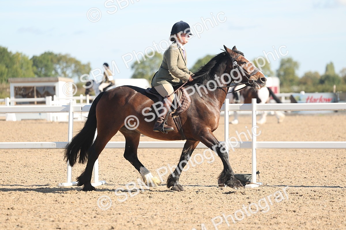 SBM_12286 - Class 304 - Ridden part Bred Horse Pony