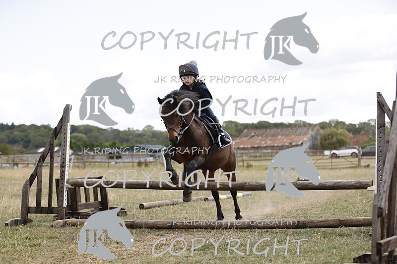 _R6A1186 - Grass Arena