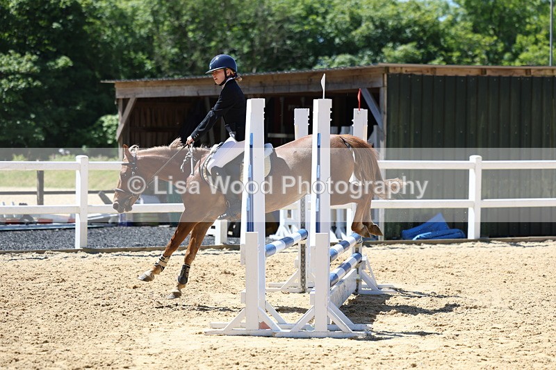 3E7A2515 - Class 4/5: 60cm Open Teams and Individuals