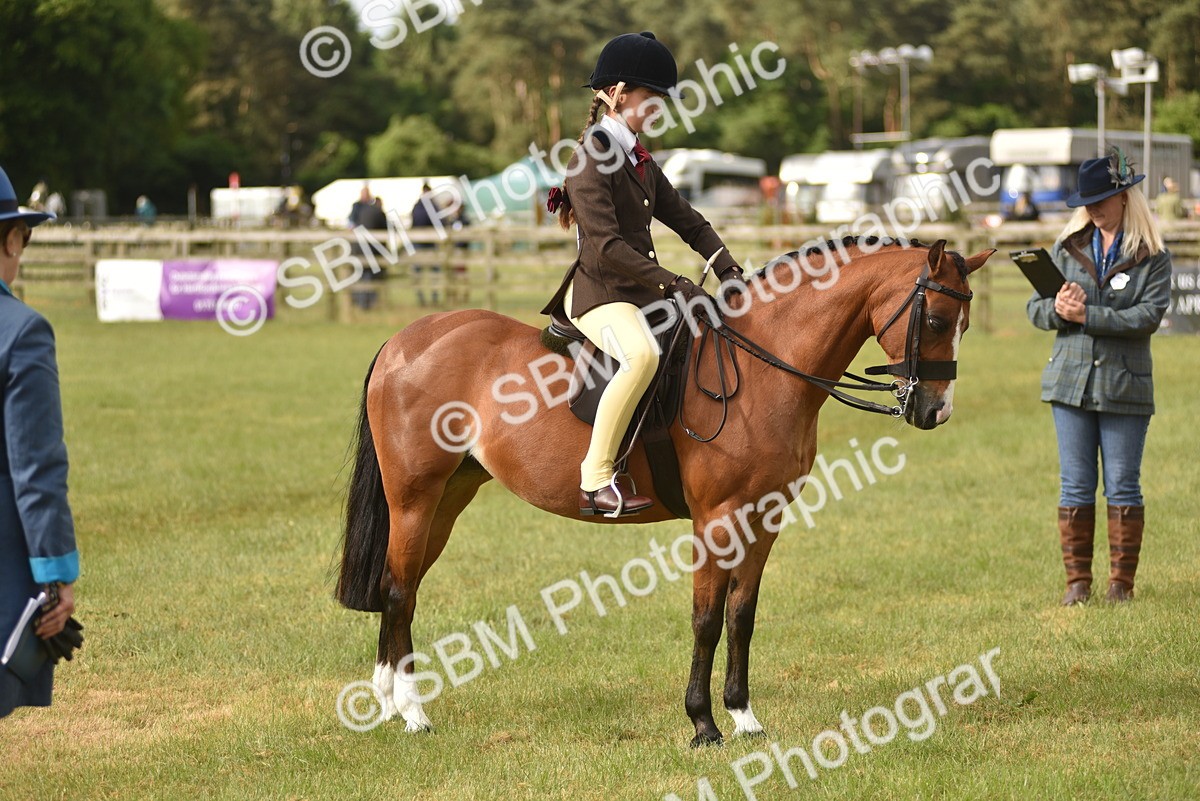 SBM_10694 - Class 110-112 - LIHS BSPS Performance Pones