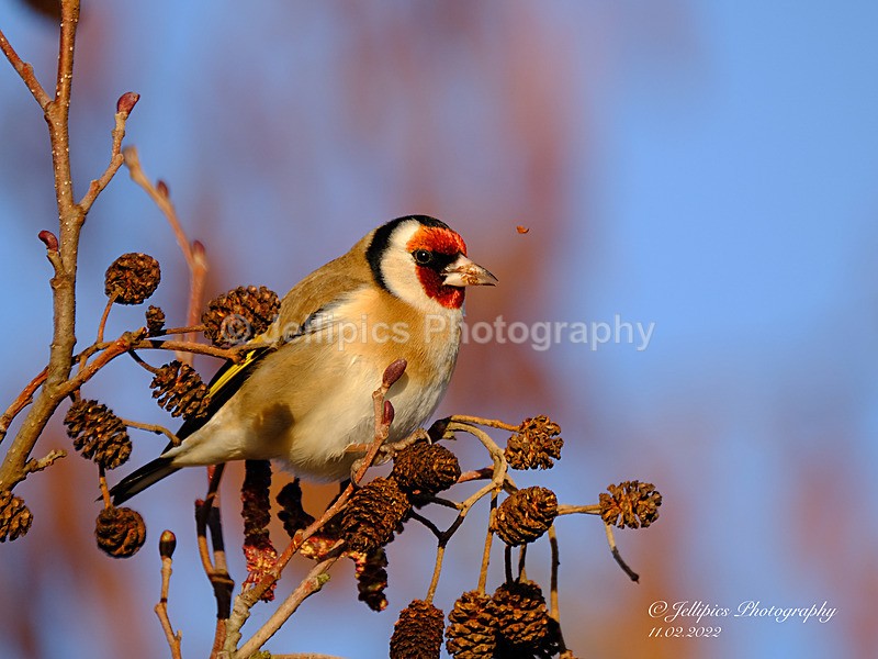  - Wildlife and Nature
