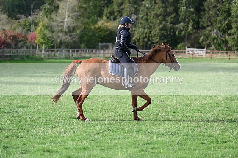 WJ7_1116 - Time 14:27 to 15:11