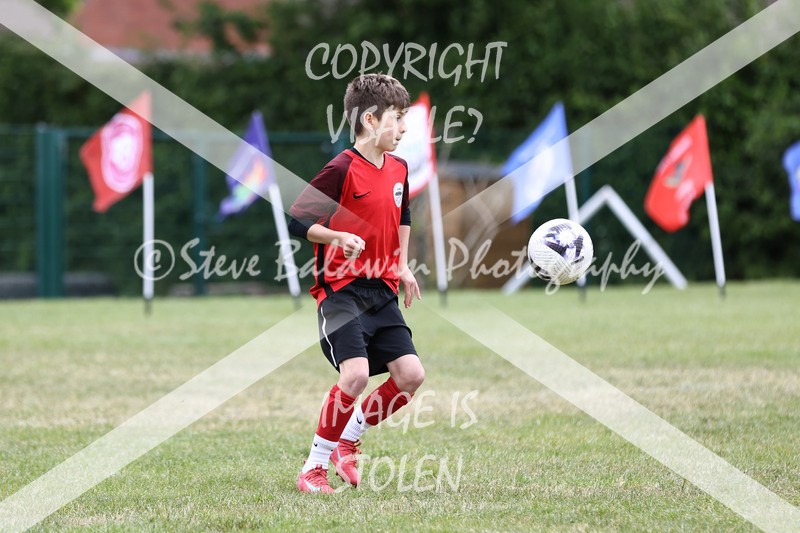 1DX30797 - Brook Field V Goddard Park