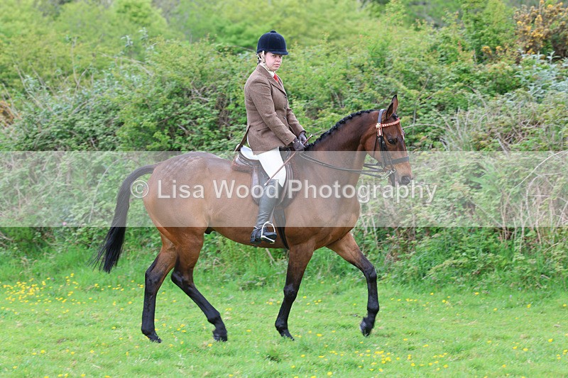 3E7A1930 - Class 10: Ridden Sports Horse