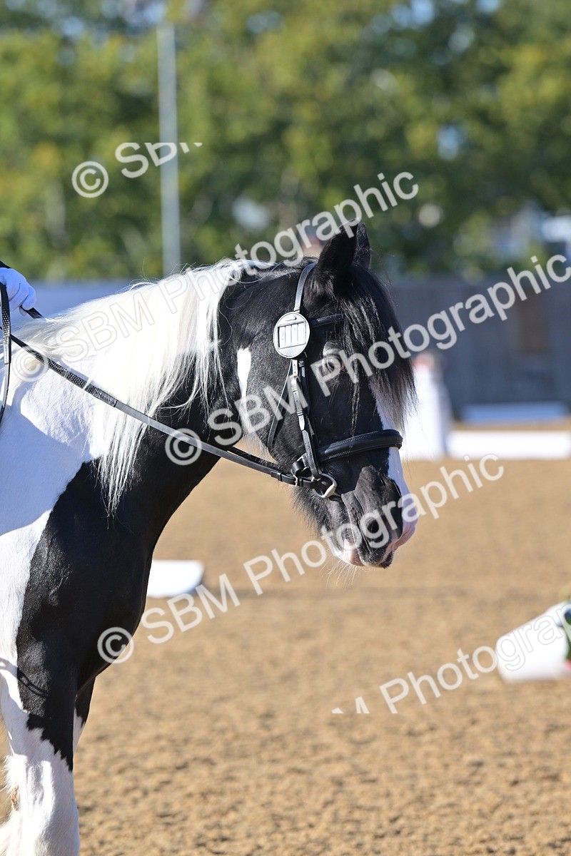 SBM_13048 - D3 - Small Tour Championship Intro 3
