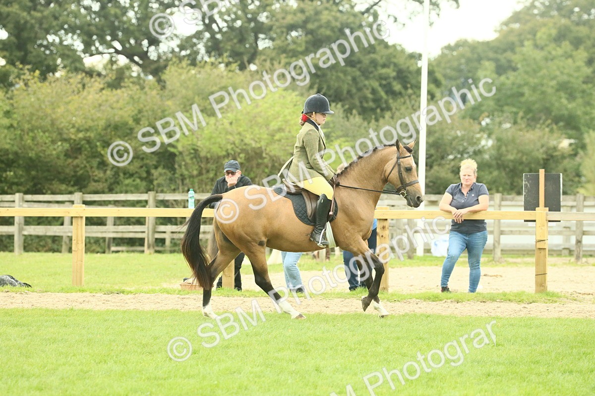 SBM_73962 - S 61 - Show Pony & Show Hunter Pony Ridden