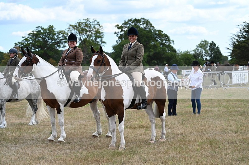 WJ7_5491 - Class 12 Ridden Cob