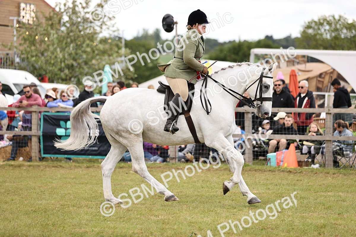 SBM_14831 - Class 88-89 - LIHS BSHA Rising Star of Ridden Hunter Type