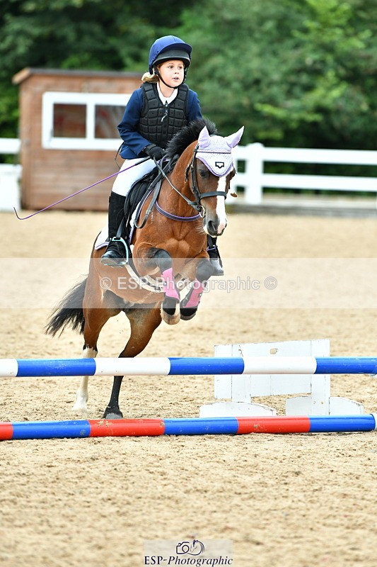 230804A-115630-02401 - Showjumping Competition