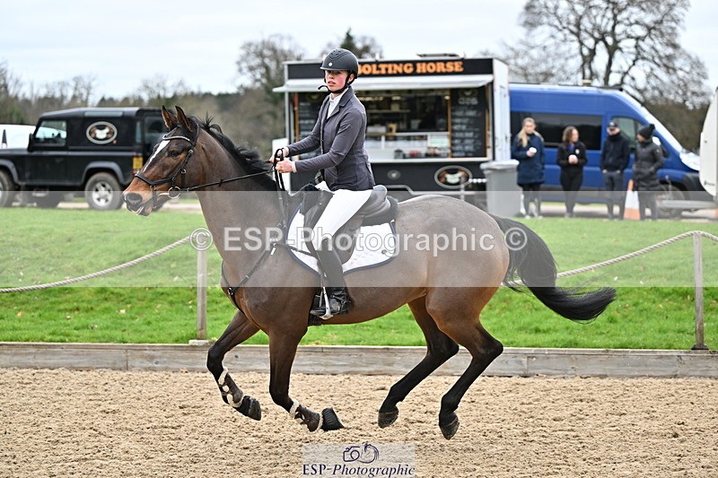 250201A-102555-00223 - Cls 01 Local Horse 90cm