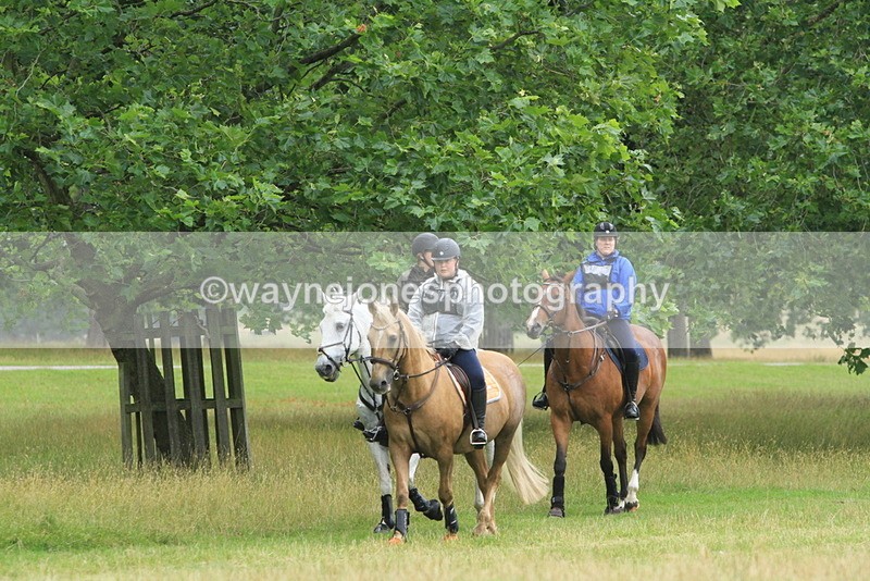 IMF_1784 - Time at Castle Jump 10:15 to 11:19