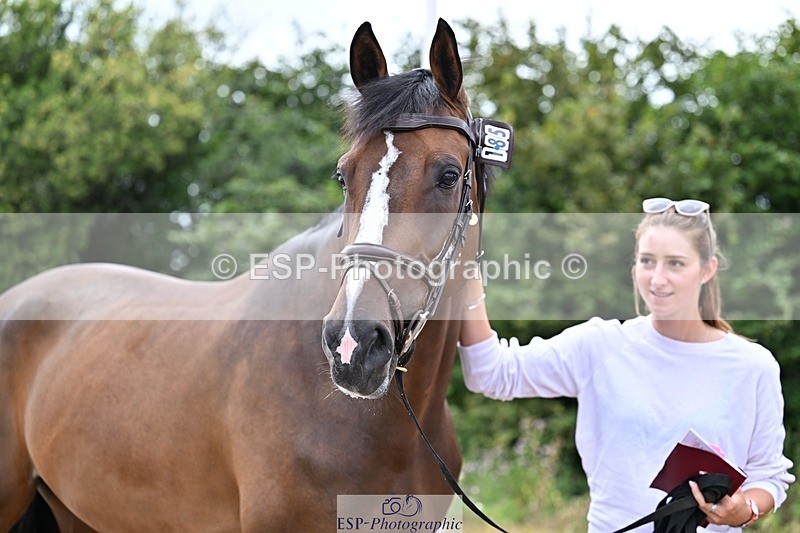 250716-135637-00712 - Trot Up 1.30 to 2.30