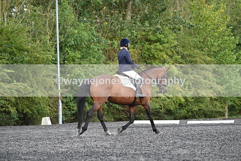 WJ7_7948 - Time 13:40 to 14:00