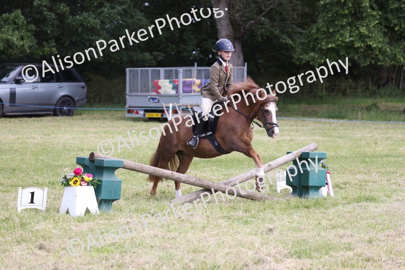 20260614-2069 - Class 21 - Novice Working Hunter Pony
