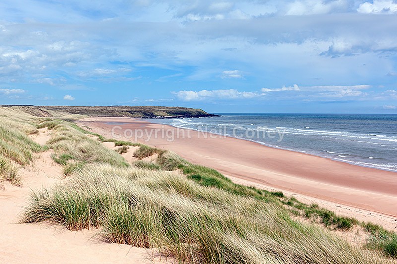Forvie Sands Beach, Forvie National Nature Reserve, Aberdeenshire - Landscape format