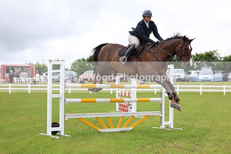 3E7A7077 - Class 12: Senior Foxhunter/1.20 open